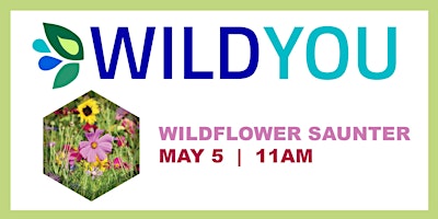 Imagem principal do evento Wildflower Saunter