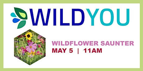 Wildflower Saunter