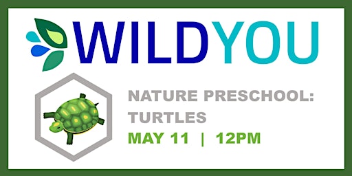 Nature Preschool: Turtles primary image