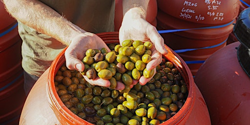 Hauptbild für Olive Curing Workshop