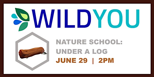 Nature School: Under a Log