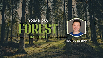 Immagine principale di Yoga Nidra Forest Bathing 