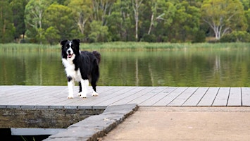 Beginner and Enthusiast Photography Workshop - Orange, NSW