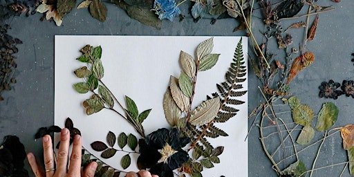 Botanical Collage Workshop  primärbild