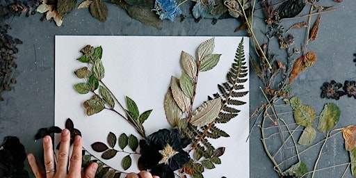 Primaire afbeelding van Botanical Collage Workshop