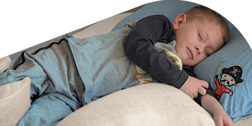 Primaire afbeelding van Lunch + Learn Sleep Systems Webinar