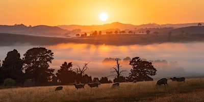 Hauptbild für Travel and Landscape Photography Workshop - Orange, NSW