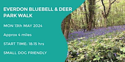 Imagen principal de EVERDON STUBBS BLUEBELL WALK | 4 MILES | MODERATE| NORTHANTS