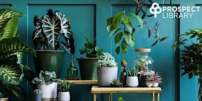 Imagem principal do evento Beginners Guide to Indoor Plants