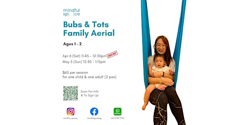 Bubs & Tots Family Aerial primary image