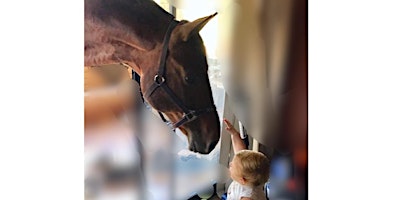 Equine Empowerment Journey : unleash your inner strengths primary image