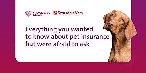 Image principale de Everything you wanted to know about pet insurance but were afraid to ask