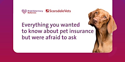 Hauptbild für Everything you wanted to know about pet insurance but were afraid to ask