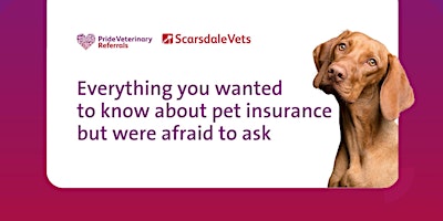 Image principale de Everything you wanted to know about pet insurance but were afraid to ask