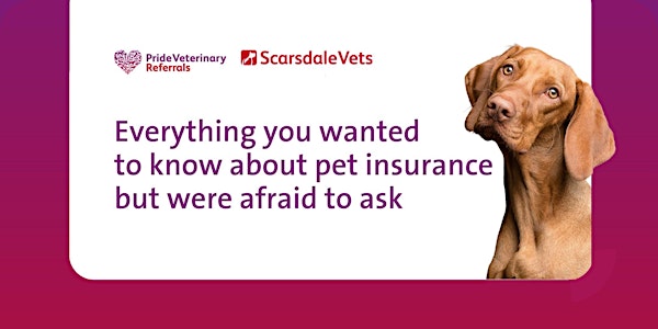 Everything you wanted to know about pet insurance but were afraid to ask
