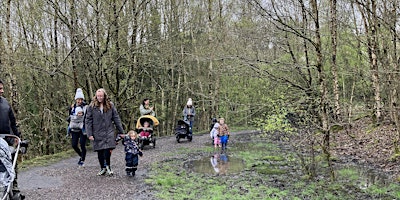 Family Woodland Adventure! primary image