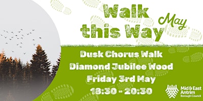 Dusk Chorus Walk primary image