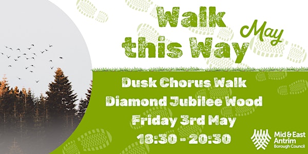 Dusk Chorus Walk