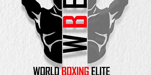 Imagem principal do evento World Boxing Elite