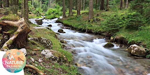 Image principale de Découverte de l'Ill à Heimsbrunn