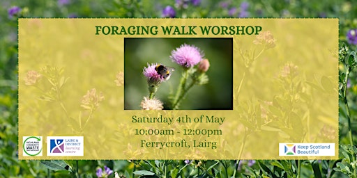 Image principale de Foraging Walk Workshop