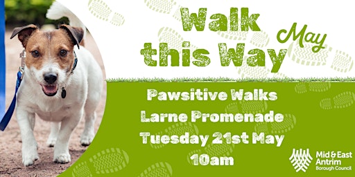 Imagem principal do evento Pawsitive Walking Group