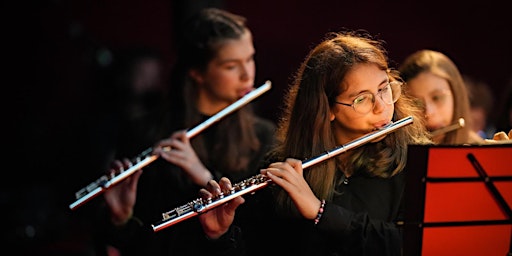 Primaire afbeelding van Caro Maestro