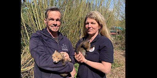 Hauptbild für Wildtiere in der Stadt: Wildtierauffangstation