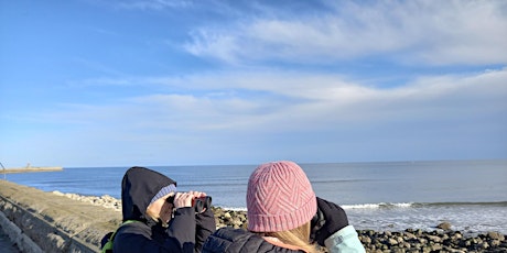 SeaScapes Seawatch Observers Training primary image