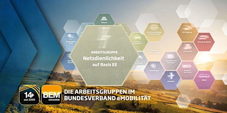 BEM-AG 4 - Netzdienlichkeit der eMobilität | Mai 2024 primary image