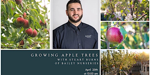 Imagem principal do evento Growing Apple Trees with Stuart Burns