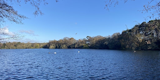 Primaire afbeelding van Serenity by the Lake