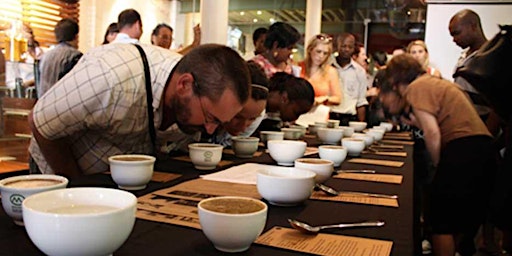 Imagem principal do evento Coffee Cupping - A sensory Experience