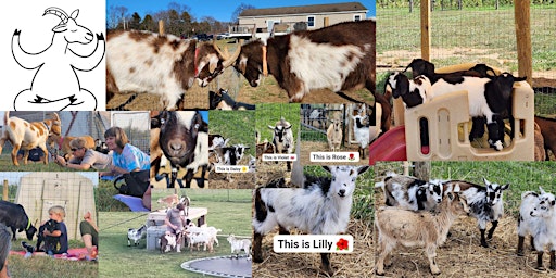 Imagen principal de Goat Yoga and Ice Cream with Crystal's Funny Farm at Deere Valley Farm