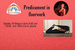 Imagem principal do evento Predicament in Floorwork con Red Lily