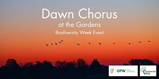 Hauptbild für Biodiversity Week: Dawn Chorus at the Gardens