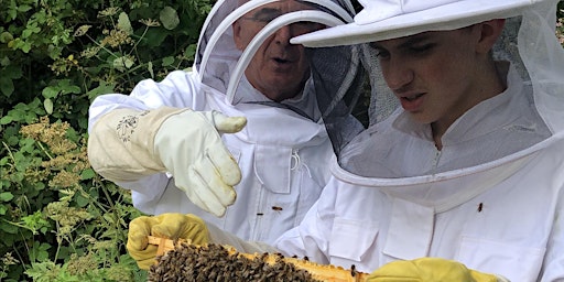 Immagine principale di Manchester Meadows Honey Company - Beekeeping Experience Day (with WorkerBee Lunch) 