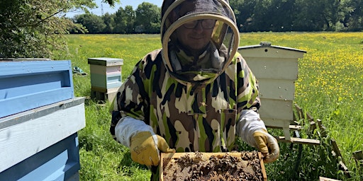 Primaire afbeelding van Manchester Meadows Honey Company - Beekeeping Experience Day ( WorkerBee Lunch)