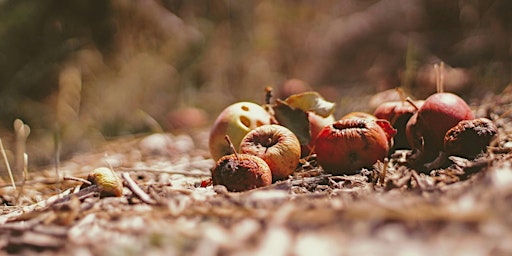 The Secret Art of Composting primary image