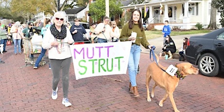 Mutt Strut part of the Garden District Day Block Party  -- April 20, 2024