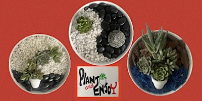 Primaire afbeelding van Plant and Enjoy “Succulents Art”at Lincolnway Flower shop