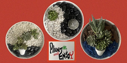 Imagem principal de Plant and Enjoy “Succulents Art”at Lincolnway Flower shop