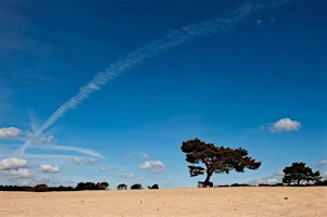 Dansen in de duinen