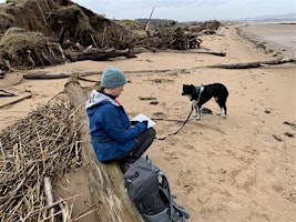 ArtMovesFife   - Creative Walks with Artists primary image