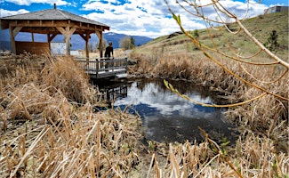 Primaire afbeelding van Allan Brooks Nature Centre Field Trip