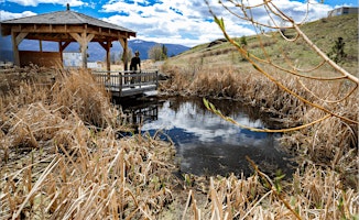 Imagem principal do evento Allan Brooks Nature Centre Field Trip