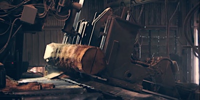 Primaire afbeelding van Timber Trek: Exploring the Legacy of Frank Miller Lumber