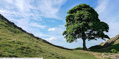 Hadrian's Wall in our time - safeguarding for the future primary image