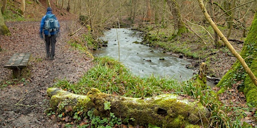 Image principale de Woody Wildlife at Craighall Den