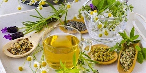 Hauptbild für Herbal Tea Garden